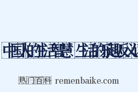 中国人的生活智慧·生活的乐趣反义词是什么意思的图片